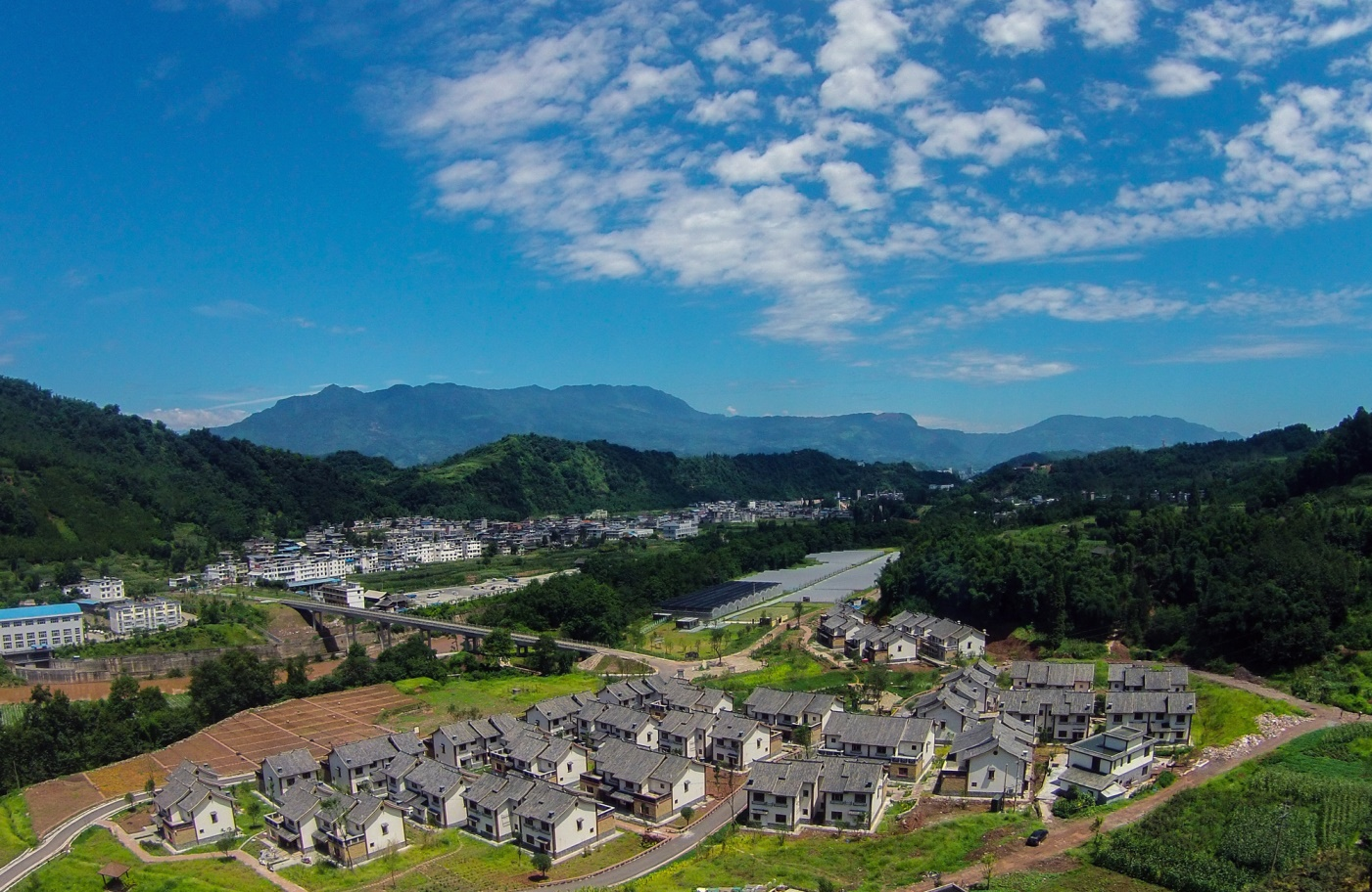 【乡村振兴】雅安市雨城区:推进"三化"建设,筑牢乡村振兴"红色战斗